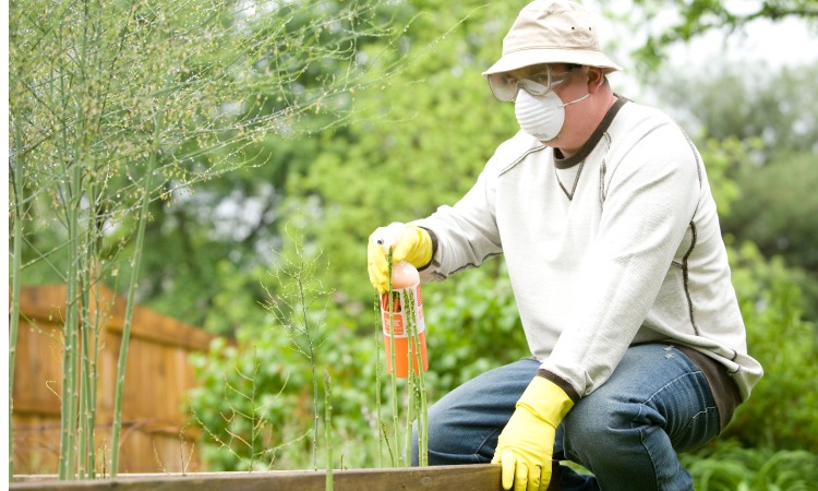 how to control pests